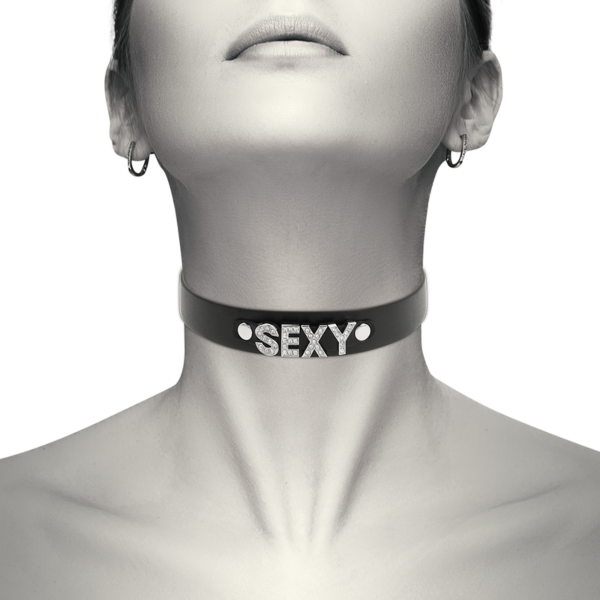Coquette Chic Desire collar, black adjustable BDSM collar with clasps