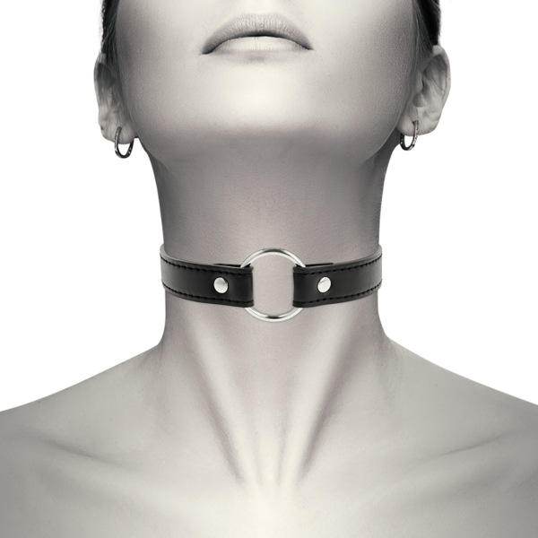 Coquette Chic Desire BDSM collar with its three-clasp fastening