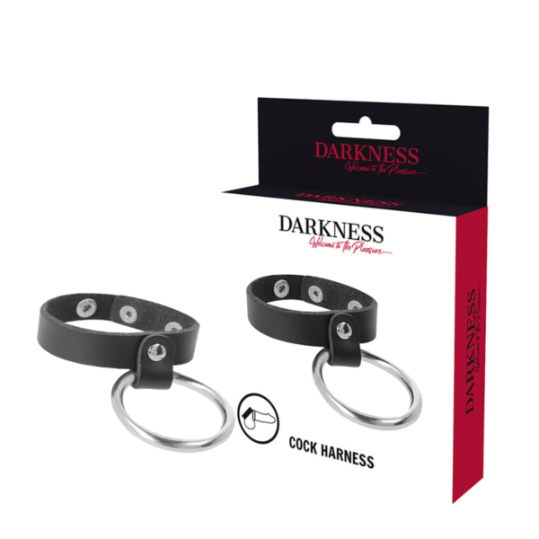 Darkness Bondage cock ring for penis and testicles, black and metallic