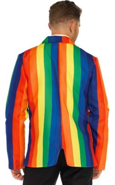Leg Avenue Rainbow Blazer and Tie costume, with the blazer and tie in rainbow print