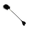 Whip Bound to Please Heart Shaped Crop with Feather Tickler