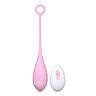 Vibrating Egg Loving Joy Remote Controlled 10 Functions