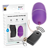 Purple Remote Control Egg