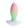 Vibrator Paradise Pleasure Products The Plug with RGB Lighting