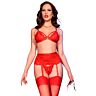 Lingerie Set CHILIROSE CR 4895 with Garter Belt