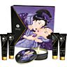 Shunga - Secret Geisha Exotic Fruits - Erotic Massage Set