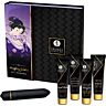 SHUNGA Geisha Naughty Couples Kit for Sensual Experiences