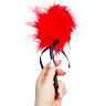 Seduction Feather Tickler