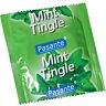 Pasante Mint Condoms Bulk Pack 144