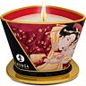 SHUNGA Mini Caress Massage Candle 170 ml