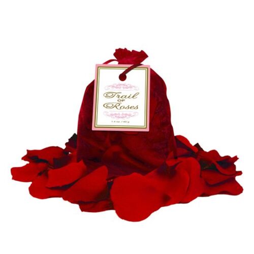 Trail of roses red petals