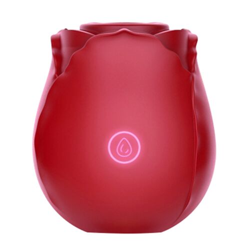 Suction Vibrator Loving Joy Rose Toy 10 Functions