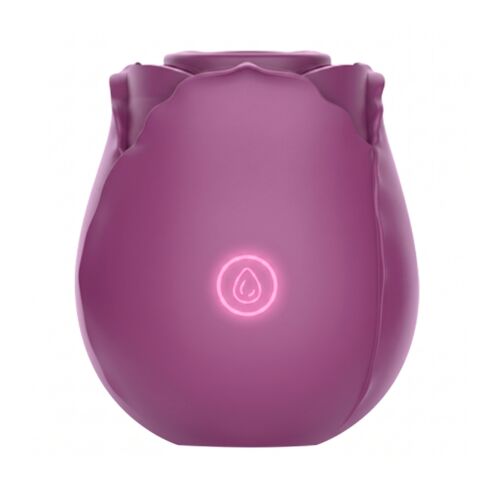 Suction Vibrator Loving Joy Rose Toy with 10 Functions