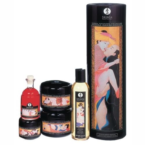 Shunga collection of carnal pleasures