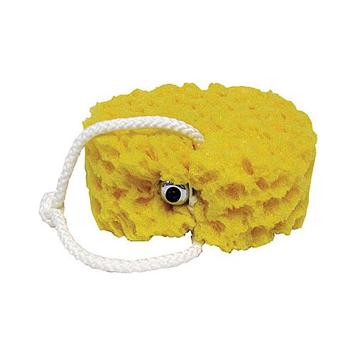 Sponge vibrating sex in the shower