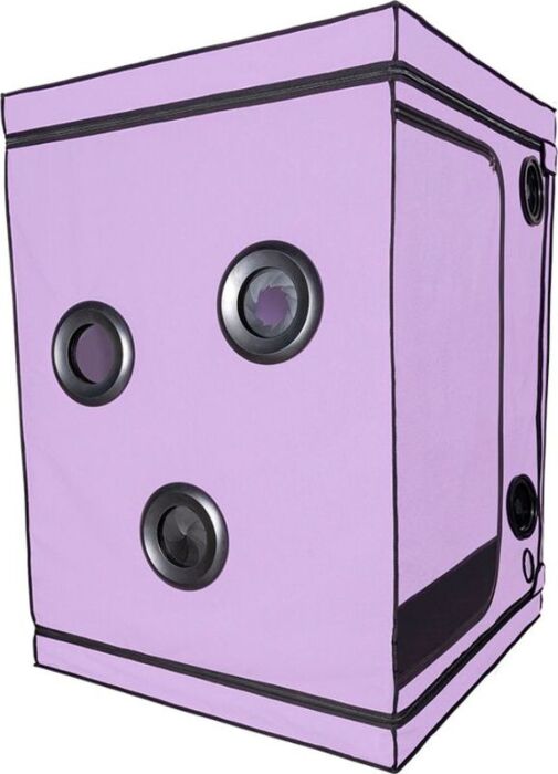 BDSM Cabin Secret Dome Scandale Purple - Intimate Pleasure