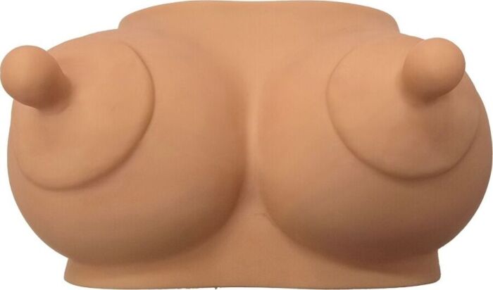 Novelty Coin Bank Diablo Picante Tits Design Novelty Coin Bank Diablo Picante Tits Design