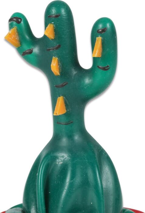 Condoms Condomerie Cactus Hand-Painted Fun