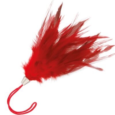 Sensual Red Feather 17cm