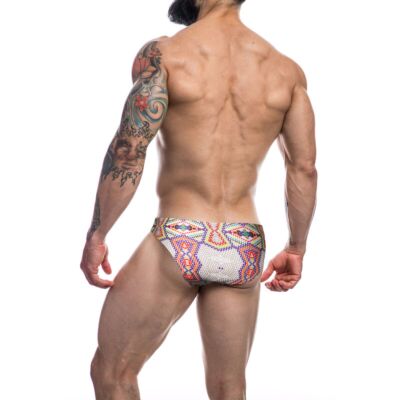 Aztec Low Rise Briefs
