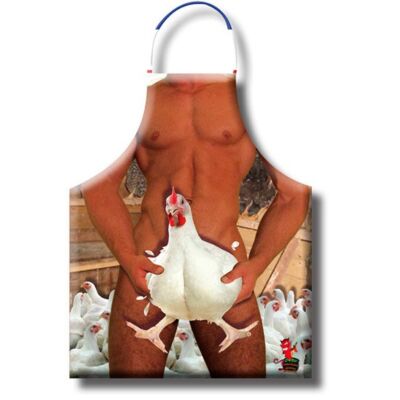 Stylish Chicken Coop