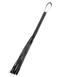 Fetish Initiation Whip