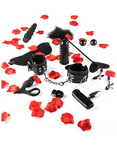 Amazing pleasure sex toy kit