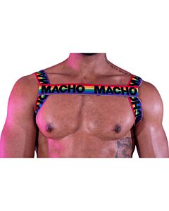 Double Pride: Limited Male Harness