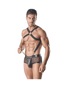 Axel Harness Anais