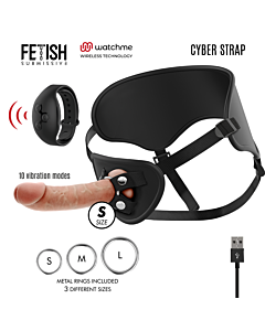 Cyber Control Harness