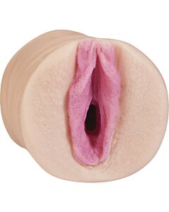 All star porn stars - faye reagan