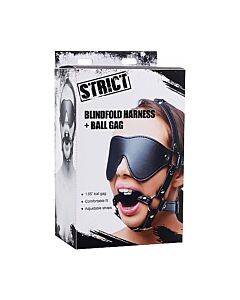 Eye mask harness with ball gag