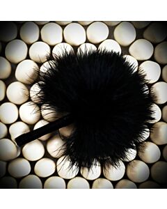 Sweet Stimulating Feather