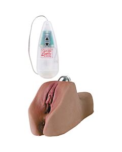 Futurotic laceys pussy & anus