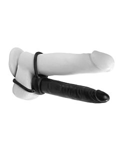 Double Anal Pleasure