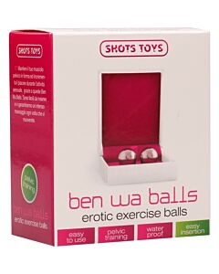 Ben wa balls silver