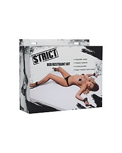 Bed restraint kit