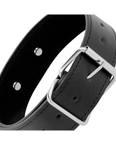 DarkChain Posture Collar