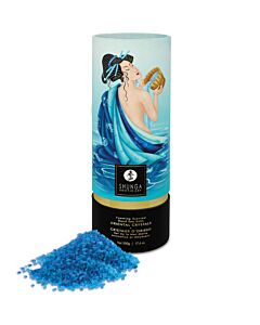 Shunga Ocean of Temptations Bath Salts - 500 g