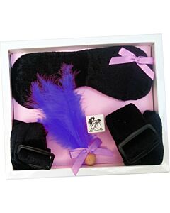 Sensual Purple Bondage Kit