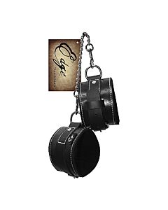 Leather wrist restraints