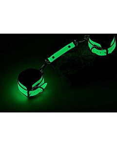 Green Glow Handcuffs - Dream Toys