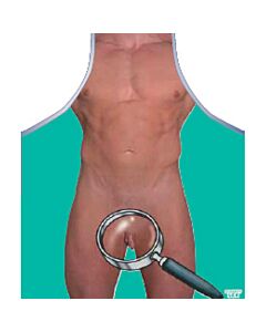 Erotic Magnifying Apron