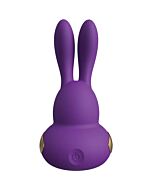 Rhythm- chari multi stimulator - purple