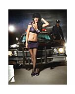 Fencenet thigh high (police)