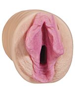 All star porn stars kimberly kane