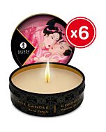 Shunga massage candle rose petal 6 x 30 ml