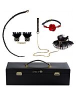 Zalo luxurious &romantic bondage play kit