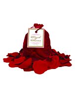 Trail of roses red petals