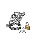 Asylum - 4 ring chasity cage